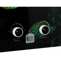 Газовая колонка ARIDEYA JSD 20-G1 картина (автомат)