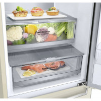 Холодильник двухкамерный LG GA-B509CEUM