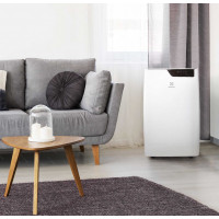 Кондиционер мобильный ELECTROLUX Bliss Art EACM-12 GT/N6