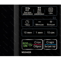 Микроволновая печь LG MS2042DB, черный (A)
