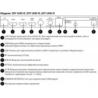 Телевизор Hiberg 65Y UHD-R, smart, UHD, безрамочный, (Яндекс)