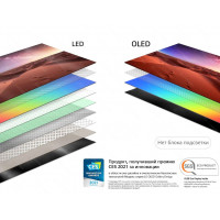 Телевизор LG OLED 55A1RLA